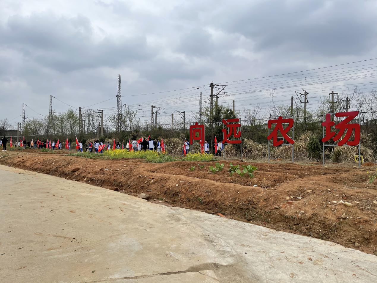 leyu体育助力植树节，彰显向远力量