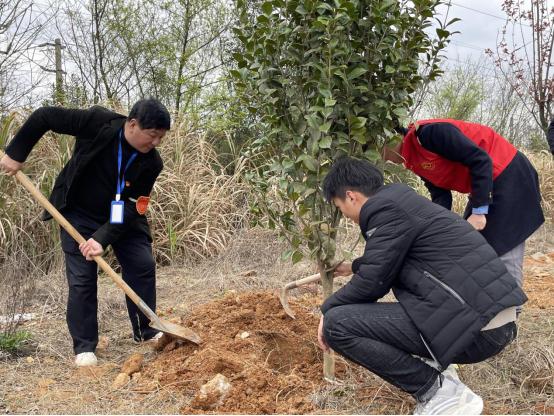 leyu体育助力植树节，彰显向远力量