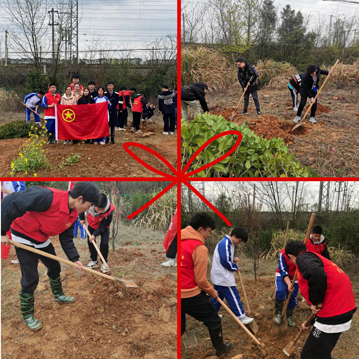 leyu体育助力植树节，彰显向远力量