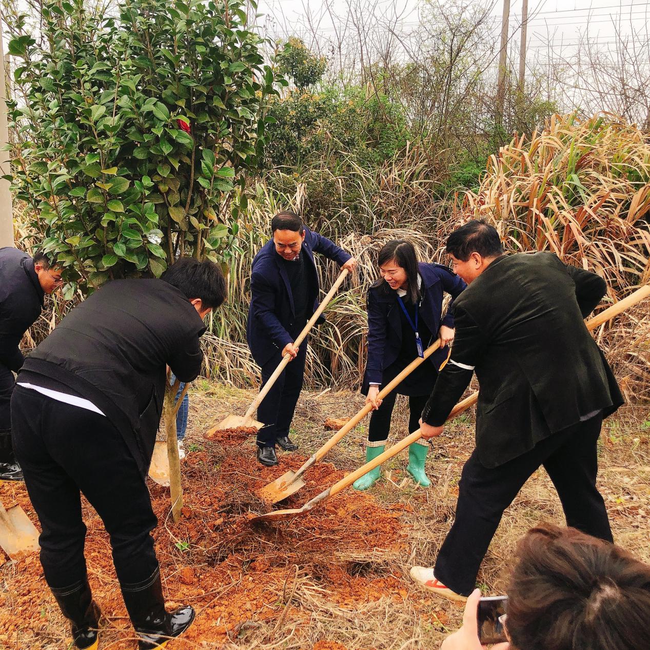 leyu体育助力植树节，彰显向远力量