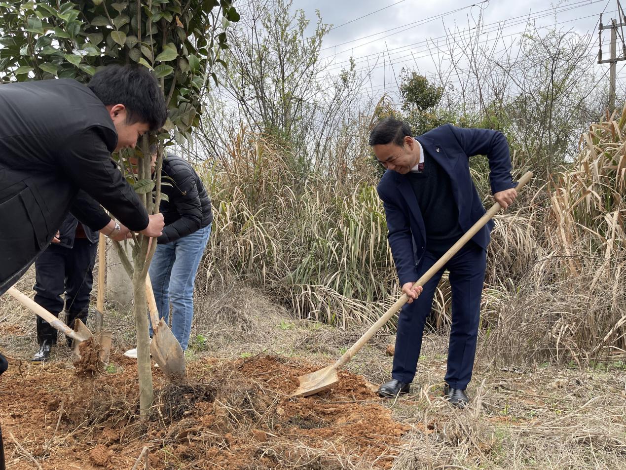 leyu体育助力植树节，彰显向远力量